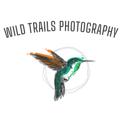 Wild Trails Photography